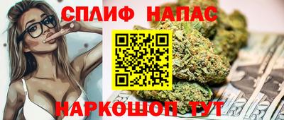 СК Заводоуковск