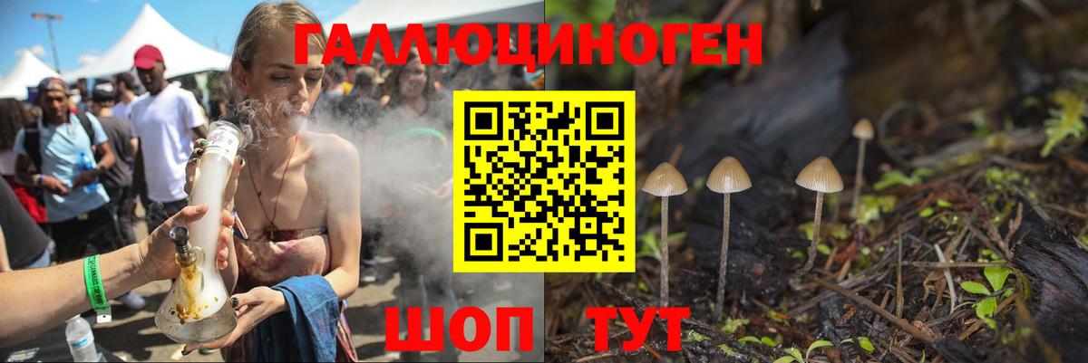 Псилоцибиновые грибы Psilocybine cubensis  Вход с VPN  Мелеуз 